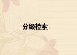 分级检索