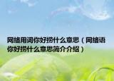 网络用词你好捞什么意思（网络语你好捞什么意思简介介绍）