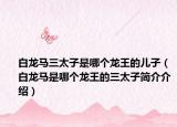 白龙马三太子是哪个龙王的儿子（白龙马是哪个龙王的三太子简介介绍）