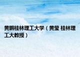 黄鹏桂林理工大学（黄莹 桂林理工大教授）