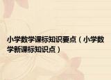 小学数学课标知识要点（小学数学新课标知识点）