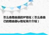怎么查路由器的IP地址（怎么查自己的路由器ip地址简介介绍）
