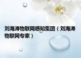 刘海涛物联网感知集团（刘海涛 物联网专家）