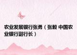 农业发展银行张勇（张毅 中国农业银行副行长）