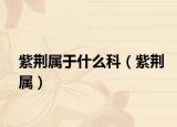 紫荆属于什么科（紫荆属）