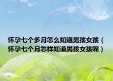 怀孕七个多月怎么知道男孩女孩（怀孕七个月怎样知道男孩女孩呢）
