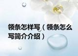 领条怎样写（领条怎么写简介介绍）
