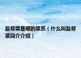 盐帮菜是哪的菜系（什么叫盐帮菜简介介绍）