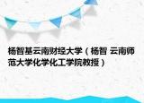 杨智基云南财经大学（杨智 云南师范大学化学化工学院教授）