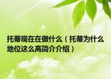 托蒂现在在做什么（托蒂为什么地位这么高简介介绍）