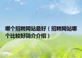 哪个招聘网站最好（招聘网站哪个比较好简介介绍）
