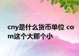 cny是什么货币单位 com这个大那个小