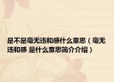 是不是毫无违和感什么意思（毫无违和感 是什么意思简介介绍）