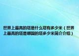 世界上最高的塔是什么塔有多少米（世界上最高的塔是哪国的塔多少米简介介绍）