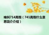 啥叫714高炮（741高炮什么意思简介介绍）