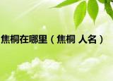 焦桐在哪里（焦桐 人名）