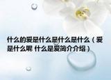 什么的爱是什么是什么是什么（爱是什么呢 什么是爱简介介绍）