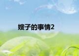 嫂子的事情2