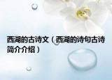 西湖的古诗文（西湖的诗句古诗简介介绍）