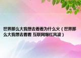 世界那么大我想去看看为什么火（世界那么大我想去看看 互联网爆红风波）
