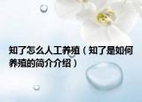 知了怎么人工养殖（知了是如何养殖的简介介绍）