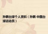 孙鹏台球个人资料（孙鹏 中国台球运动员）