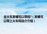 坐火车发蜡可以带吗?（发蜡可以带上火车吗简介介绍）