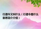 行酒令又叫什么（行酒令是什么意思简介介绍）