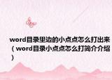 word目录里边的小点点怎么打出来（word目录小点点怎么打简介介绍）