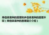 单倍体育种的原理和多倍体育种的原理不同（单倍体育种的原理简介介绍）