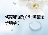 sl系列轴承（SL满装滚子轴承）