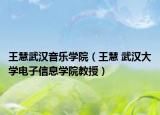 王慧武汉音乐学院（王慧 武汉大学电子信息学院教授）