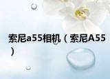 索尼a55相机（索尼A55）