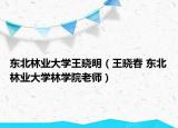 东北林业大学王晓明（王晓春 东北林业大学林学院老师）