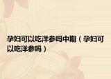 孕妇可以吃洋参吗中期（孕妇可以吃洋参吗）