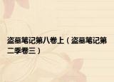 盗墓笔记第八卷上（盗墓笔记第二季卷三）