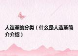 人造革的分类（什么是人造革简介介绍）