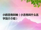 小的吉他叫啥（小吉他叫什么名字简介介绍）