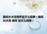 脚底长水泡很痒是怎么回事（脚底长水泡 很痒 是怎么回事）