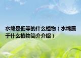 水绵是低等的什么植物（水绵属于什么植物简介介绍）