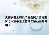 灭霸手套上有几个宝石简介介绍图片（灭霸手套上有几个宝石简介介绍）