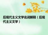 后现代主义文学名词解释（后现代主义文学）