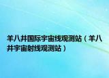 羊八井国际宇宙线观测站（羊八井宇宙射线观测站）