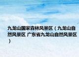 九龙山国家森林风景区（九龙山自然风景区 广东省九龙山自然风景区）