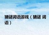 猜谜词语游戏（猜谜 词语）