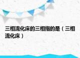 三相流化床的三相指的是（三相流化床）