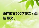 牵挂散文600字作文（牵挂 散文）