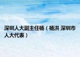 深圳人大副主任杨（杨洪 深圳市人大代表）