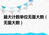 最大计数单位无量大数（无量大数）