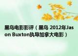 黑鸟电影影评（黑鸟 2012年Jason Buxton执导加拿大电影）
